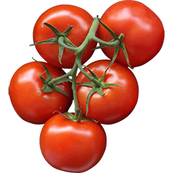 🍅 Pomodoro Method (Tomato) Timer ⏰
